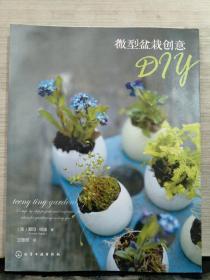 微型盆栽创意DIY