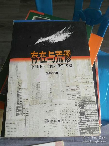 存在与荒谬：中国地下“性产业”考察