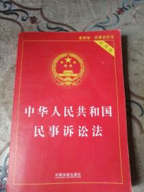 中华人民共和国民事诉讼法（实用版）