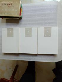 圩程袁杰伟自选集(3卷全)