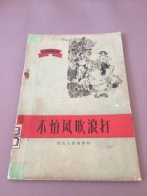 《不怕风吹浪打》·农民家史