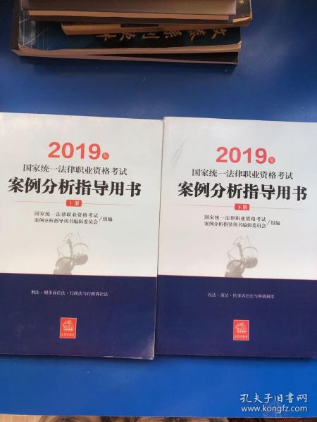 司法考试2019 2019年国家统一法律职业资格考试案例分析指导用书（全2册）