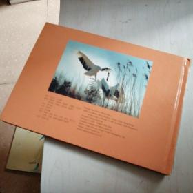 国家重点保护野生动物I级一特种邮票高级珍藏册【4----4层】里面全