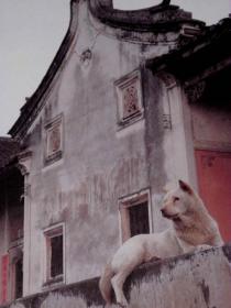 中国名村.广东茶山村 : 茶山村