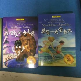 夏洛书屋经典版：总有一天会长大、吹牛大王历险记、银河铁道之夜、铁路边的孩子们、梦想家彼德、小野人和长毛象，总有一天会长大、老人与海、兔子坡。九本同售