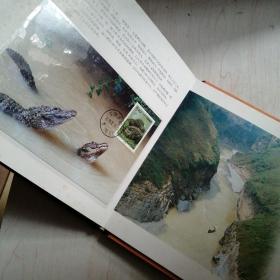 国家重点保护野生动物I级一特种邮票高级珍藏册【4----4层】里面全