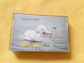 磁带 尼太.戈尔 朝阳国际电子乐队磁带 金牌家庭舞王 · 珍藏版