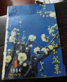 花木盆景《1984年第1、2、3、4期》 第一期是创刊号 共四册合售