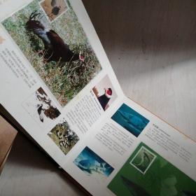 国家重点保护野生动物I级一特种邮票高级珍藏册【4----4层】里面全