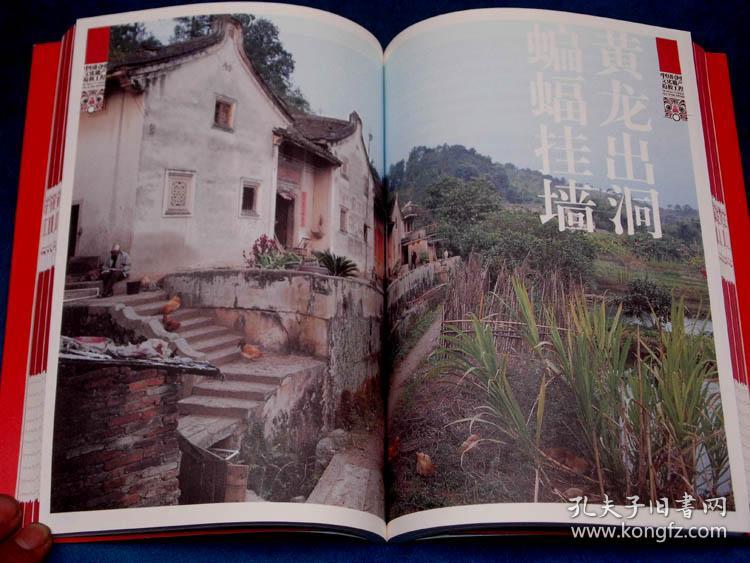 中国名村.广东茶山村 : 茶山村