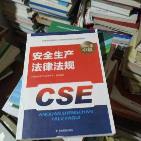 注册安全工程师2020安全生产法律法规应急管理出版社全国中级注册安全工程师职业资格考试辅导教材