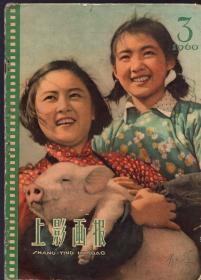 《上影画报》1960年第3期【内页完整，品如图。封面为《旭日东升》宣传画。刊有王丹凤、陈毅、白杨、茹志鹃、字如方、黄宗英、翁佩珍、唐澄、华沁芳、何瑞基、李菊、顾莺莺、孙淑莹、张同凝、王苏江、布加里、张允莲等上海电影人照片。看彩色木偶片《砍柴姑娘》剧照、《她们的心愿》剧照、《百岁挂帅》剧照、《革命家庭》剧照、《游园惊梦》剧照】