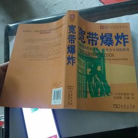 宽带爆炸：听前沿思想家预见一个充分互动的世界