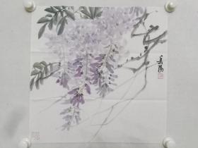 保真书画，当代优秀女画家，岳阳精美花卉鸟画小品《紫藤》一幅，尺寸44.5×45cm。岳阳，自幼得著名画家武穆王二十八世孙、祖父岳石尘熏陶，主攻中国花鸟画。2001年起在嘉兴画院工作，师从仲中晓，得嘉兴画院多位画家的指导。现为浙江省美术家协会会员、浙江省中国花鸟画家协会会员、秀洲区美术家协会副秘书长。