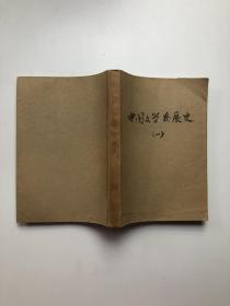中国文学发展史（一）