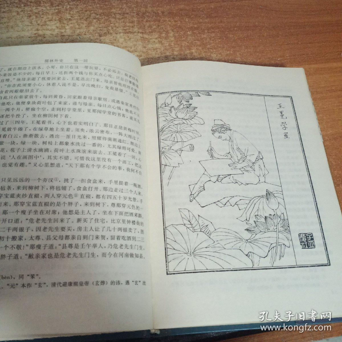 儒林外史