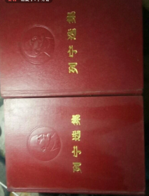 浮雕头像《版列宁选集》1-4卷全红皮
