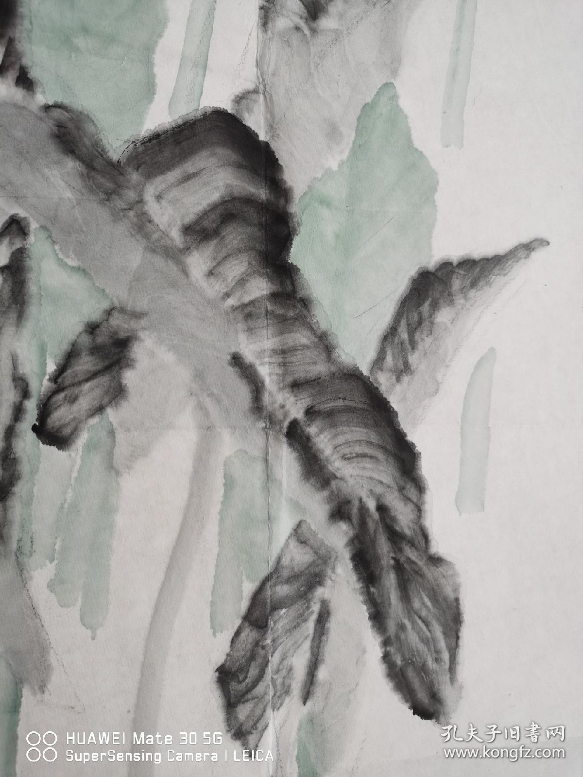 著名青年画家苗壮精美圆扇作品