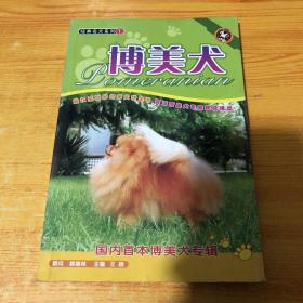 经典名犬系列1：博美犬