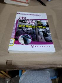 畜禽安全高效生产技术丛书：肉鸽安全高效生产技术