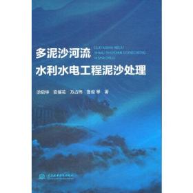 多泥沙河流水利水电工程泥沙处理