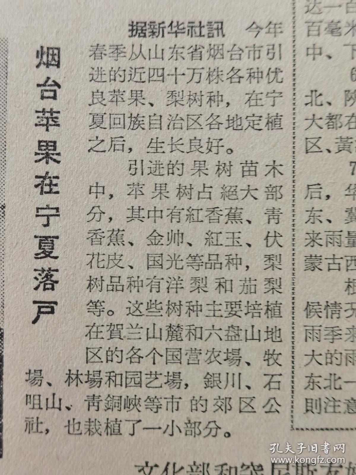 《人民日报》【松江设立集市贸易服务所；烟台苹果在宁夏落户】