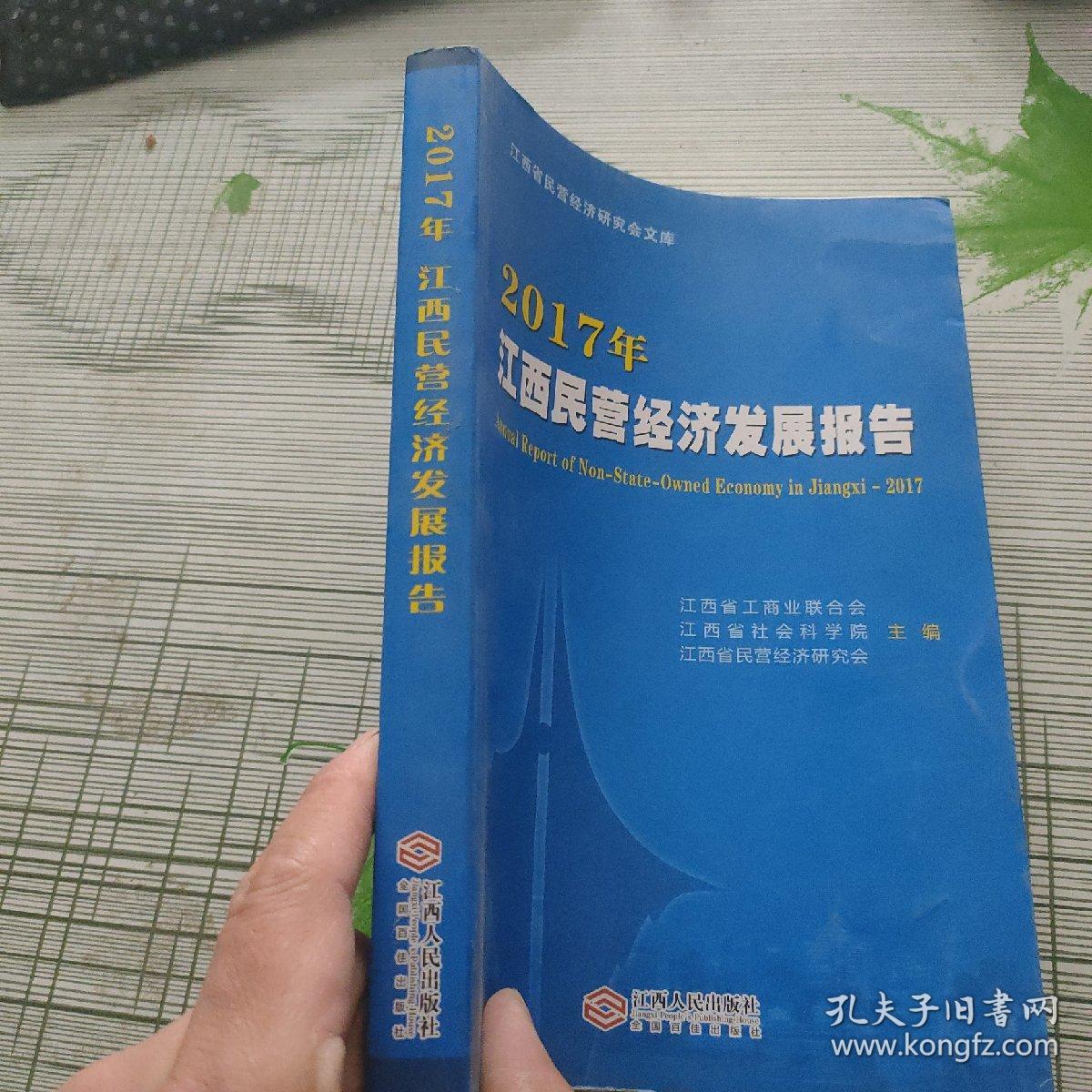 2017年江西民营经济发展报告