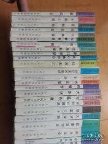 梁凤仪作品系列（归航六册全，其他22册）28册合售