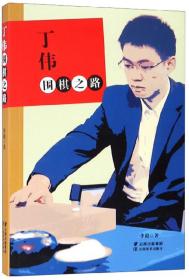 丁伟围棋之路