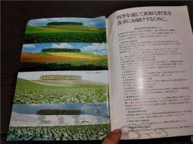 原版日文日本书免疫力 赤ちやんからお年寄リまで  野菜と健康 大32开平装