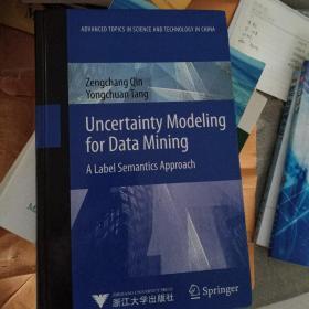 uncertainty modeling for data mining