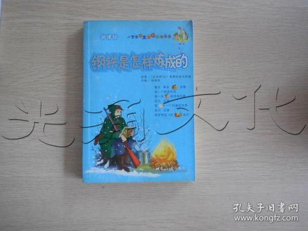 钢铁是怎样炼成的——小学生语文课外阅读丛书（注音版）