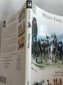 White Fang