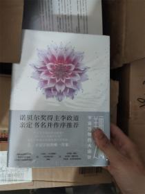 美丽之问：宇宙万物的大设计（诺贝尔物理学奖获得者李政道亲定书名并作序推荐）