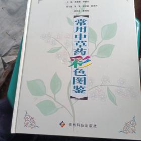 常用中草药彩色图鉴（全彩图，正版，实物拍摄）