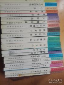 梁凤仪作品系列（归航六册全，其他22册）28册合售