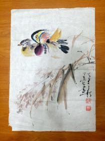 著名海派画家孟运河《鸳鸯芦苇》