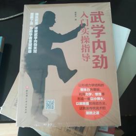 武学内劲入门实操指导