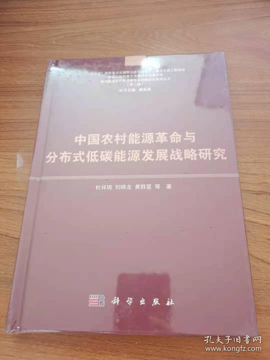 中国农村能源革命与分布式低碳能源发展战略研究