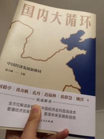 国内大循环(何毅亭、黄奇帆、孔丹、迟福林、姚洋、黄群慧等撰文)