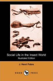 预订 Social Life in the Insect World昆虫世界的社会生活，插图版，法布尔作品，英文原版