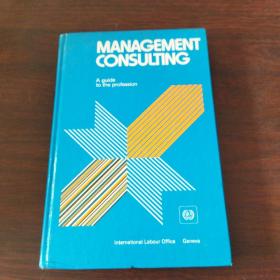 Management consulting: A guide to the profession（英文原版）