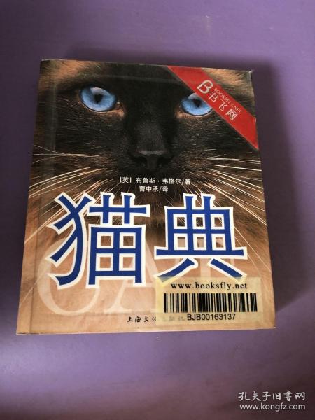 猫典