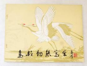 《鸟类动态写生》横16开 1985年 一版二印