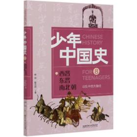 少年中国史8：西晋东晋南北朝