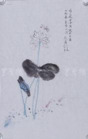 著名满族女作家、北京市文史馆馆员 苑茵 2009年作水墨花卉《荷花出自污泥而不染》一幅（纸本软片，约2.9平尺） HXTX83685