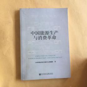 CCIEE智库丛书：中国能源生产与消费革命