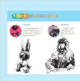 中国少儿美术教学专家优秀线描课例丛书——名师教你学画画