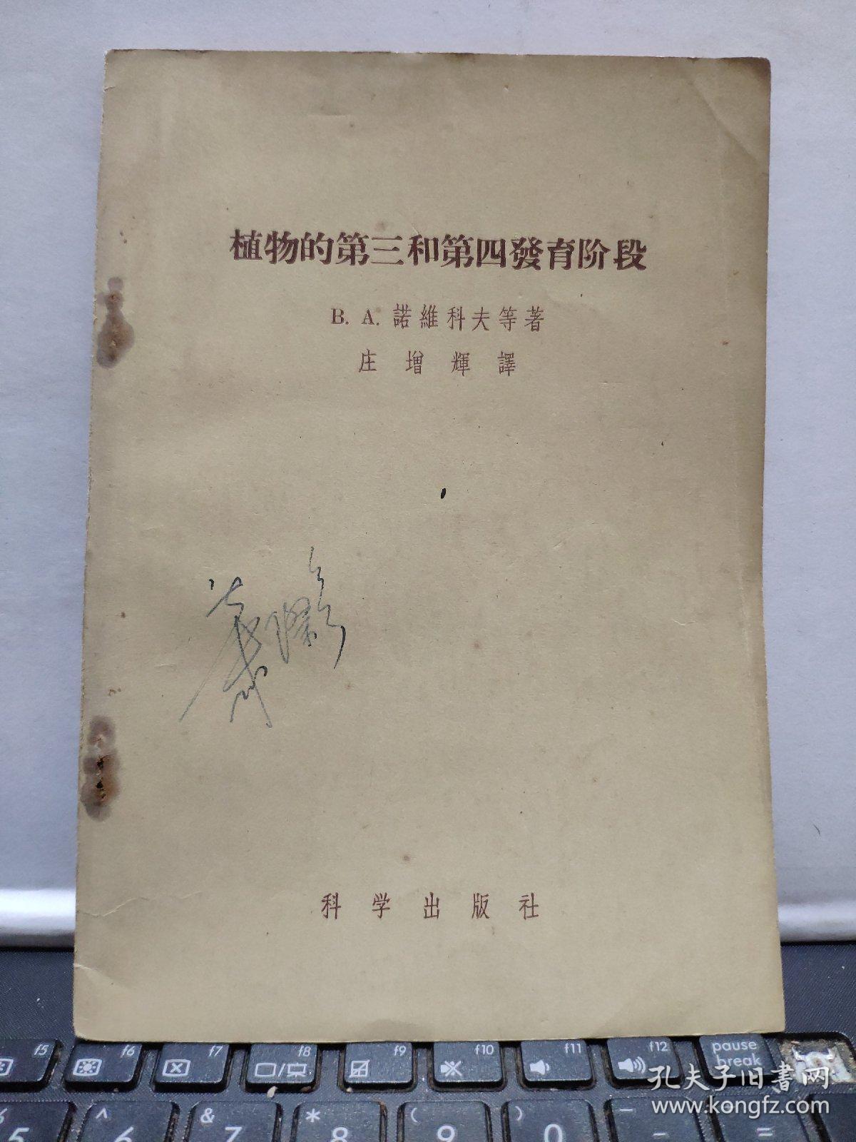 植物的第三和第四发育阶段（厨房2-5）