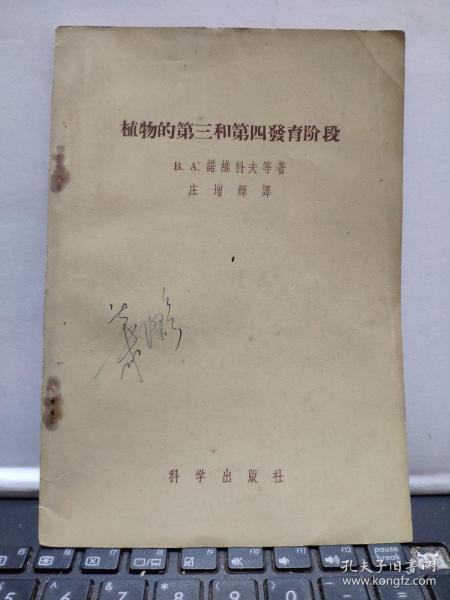 植物的第三和第四发育阶段（厨房2-5）